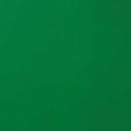 BAGUM IPANEMA VERDE BANDEIRA