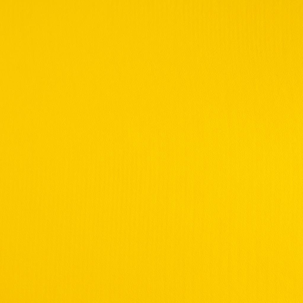 CEDRO AMARELO OURO