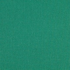 POLIÉSTER 600 PVC  VERDE JADE