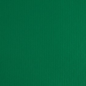 BAGUM JARI VERDE BANDEIRA