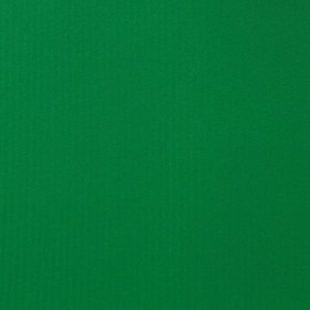 BAGUM IPANEMA VERDE BANDEIRA