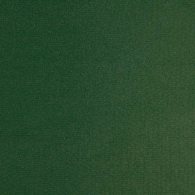 BAGUM IPANEMA VERDE MILITAR