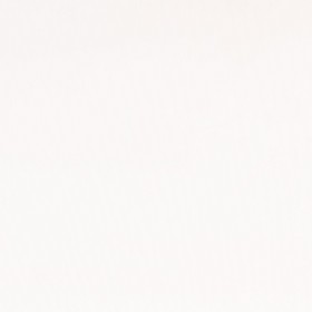 NYLON 70 TAFETA RESINADO BRANCO