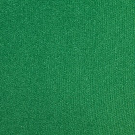 MICROFIBRA 160 GR VERDE BANDEIRA